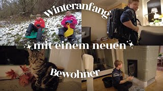 Video 238 erster Schnee und ein neuer Mitbewohner [upl. by Fionna]