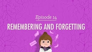 Remembering and Forgetting Crash Course Psychology 14 [upl. by Hartwell]