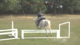 Pferd amp Jagd  Show GrandPrix 2012  Bewerbung [upl. by Kapor208]