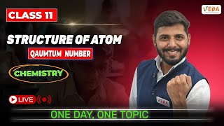 Quantum Numbers  Structure of Atom  Class 11  Chemistry  One Day One Topic [upl. by Flosi]