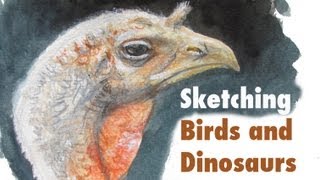 Sketching Birds and Dinosaurs [upl. by Medorra]