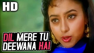 Dil Mere Tu Deewana Hai Female K S Chithra  Sooryavansham Songs Amitabh Bachchan Soundarya [upl. by Nnaear643]