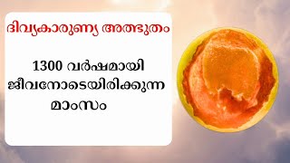 1300 വർഷമായി ജീവനോടെയിരിക്കുന്ന മാംസം  Eucharistic Miracle [upl. by Eelesor]