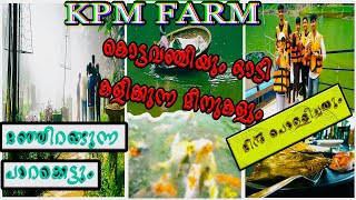 KPM FISH FARMfish fog aquarium vagamon vagamonhills tourist bonsai coracleride japanesekoi [upl. by Hite]