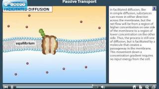 Passive TransportEducation Use Only [upl. by Launam]