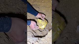 সোনা পেলে এগুলি মনে রাখবেন 💰।। Gold found in the farm [upl. by Eisoj]