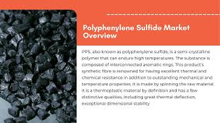 Polyphenylene Sulfide Market  Exactitude Consultancy Reports [upl. by Bailey423]