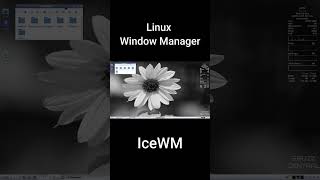 IceWM  Linux Window Manager [upl. by Fredie781]