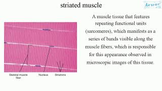 striated muscle English  Medical terminology for medical students [upl. by Anitan]