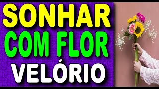 🌹🌼 SONHAR COM FLOR DE VELÓRIO  O QUE SIGNIFICA SONHAR COM FLOR DE VELÓRIO [upl. by Carney]