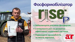 РайсПі  фосформобілізатор для підвищення врожайності та якості картоплі [upl. by Ahtennek]