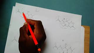 How to identify a Terpene and its isoprene units [upl. by Dnana]