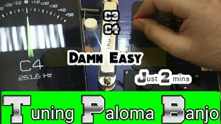 Tuning Banjo  Bulbul Tarang  shahi baaja  Pitchlab Lite tuner  Datuner  Guitar tuner [upl. by Barbara]