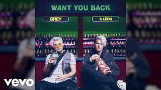 Grey  Want You Back feat LÉON Official Audio [upl. by Kciredohr]