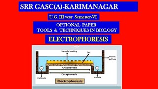 ELECTROPHORESIS GEL ELECTROPHORESISPAPER ELECTROPHORESISMOVING BOUNDARY ELECTROPHORESIS [upl. by Eimas]