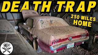 Will the RUSTIEST Barn Find Mustang RUN amp DRIVE 250 Miles Home After 25 YEARS [upl. by Latimer]