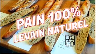 PAINS 100 levain naturel [upl. by Ludwigg689]