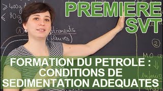 La formation du pétrole  conditions de sédimentation adéquates  SVT  1ère  Les Bons Profs [upl. by Burnight470]