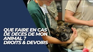 Décès de mon animal Droits amp devoirs [upl. by Lavoie308]