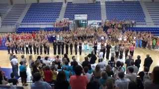 Twirling Bâton Intro N1 et Elite FFTB 2015 [upl. by Ever601]