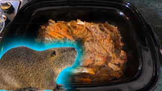 How to Cook NUTRIA in a Crock Pot [upl. by Luahs655]