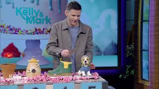 Kelly and Mark Play quotIs It Cakequot With Mikey Day [upl. by Akire]