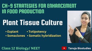 Ch9 Strategies for Enhancement in food production  Plant Tissue Culture  Class 12 BiologyNEET [upl. by Annora689]