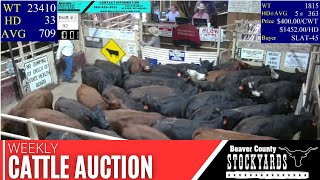 952023  Beaver County Stockyards Livestock Auction [upl. by Andee]