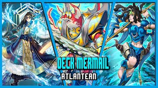 Deck Mermail  Atlantean Julio 2024 Replays and Decklist  EdoPro [upl. by Ciccia]