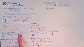 Parthenogenesis  Haploid And Diploid Parthenogenesis  Class 12 [upl. by Enelehcim]