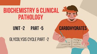 Glycolysis cycle part 2  carbohydrate metabolism  carbohydrare part 5 🙏🙏 [upl. by Etsirhc]