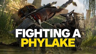 Assassins Creed Origins  Fighting A Phylake in 4K [upl. by Esilahs496]