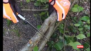 review silky pocket folding saw [upl. by Meesak]