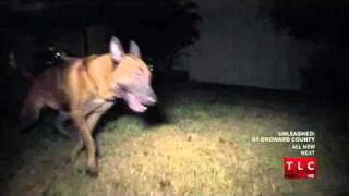 Unleashed K9 Broward County S01 E01 Parte 1 [upl. by Alludba]