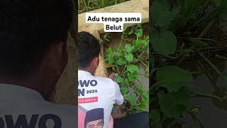 Mancing belut mancing ikan belut [upl. by Sproul]