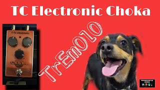 Choka Tc Electronic un TrEmOlO me puede servir [upl. by Attenaz]