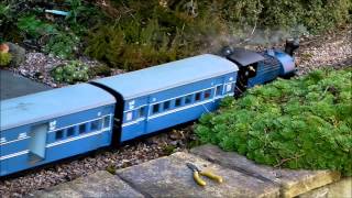 Darjeeling comes to the jungle of the Houstoun Gate Light Railway [upl. by Janina]