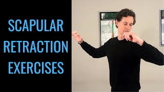 Beginner Scapular Retraction Exercises Shoulder Retraction Exercises by Dr Byron Mackay [upl. by Summons]