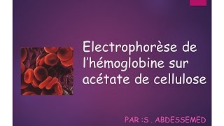 Électrophorèse de lhémoglobine sur acétate de cellulose [upl. by Aikem]