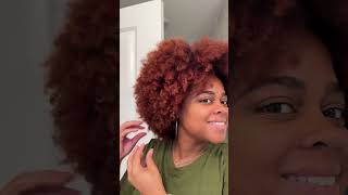 AFRO TUTORIAL  NATURAL HAIRSTYLES FOR BLACK WOMEN  DONNA’S RECIPE [upl. by Ybanrab733]