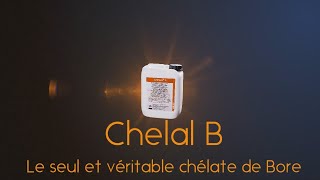 Chelal B [upl. by Tenneb]