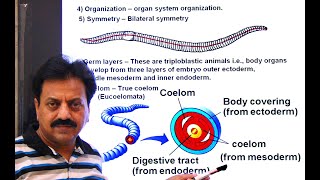 First Year  Chapter 10  Kingdom Animalia  Part 7  Phylum Annelida [upl. by Rezal]