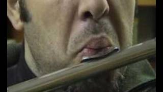 2Flutist and embouchure dystonia [upl. by Judsen]