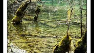 Debussy Reflets Dans L eau Perlemuter [upl. by Medwin]