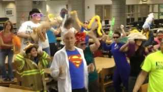 Lakeview High School St Clair Shores Harlem Shake [upl. by Eillib]