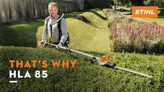 STIHL HLA 85  Longreach hedge trimmer with telescopic shaft I Thats why [upl. by Child]