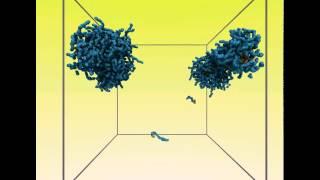 Selfassembly of polyelectrolyte diblock copolymers in aqueous solutions [upl. by Rivera559]