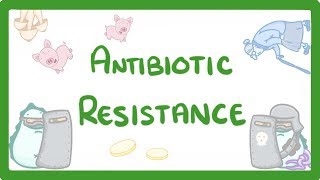 GCSE Biology  What is Antibiotic Resistance Why Antibiotic Resistance is a HUGE issue 81 [upl. by Teague]