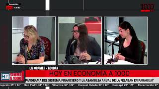 Panorama del sistema financiero y la Asamblea Anual de la FELABAN en Paraguay [upl. by Intruoc835]