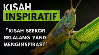 Kisah Inspiratif  Kisah Seekor Belalang yang Menginspirasi Hidup [upl. by Londoner]